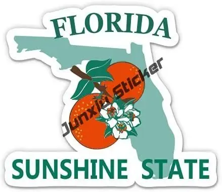 Creative Florida Flag Sticker  - Laptop Accessories Logo review and price