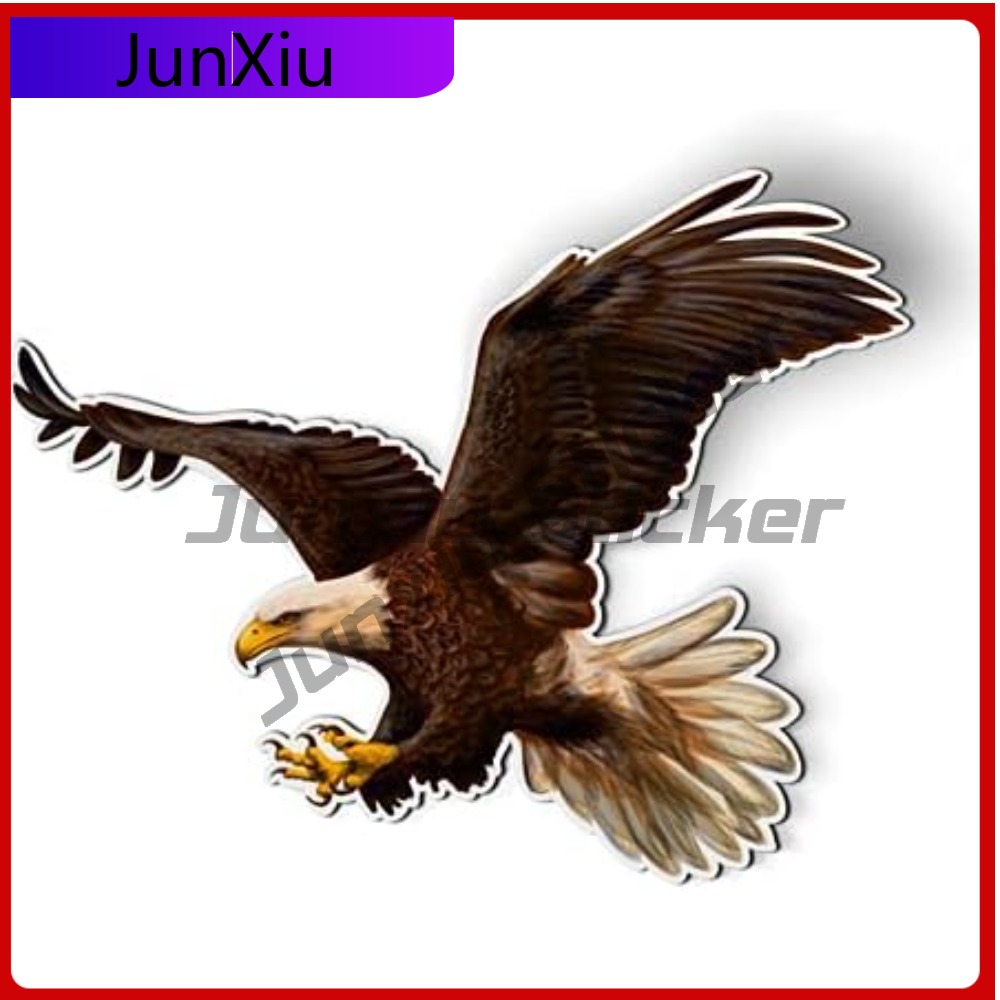 Bald Eagle American Eye Catchi - Laptop Accessories To Have review and price