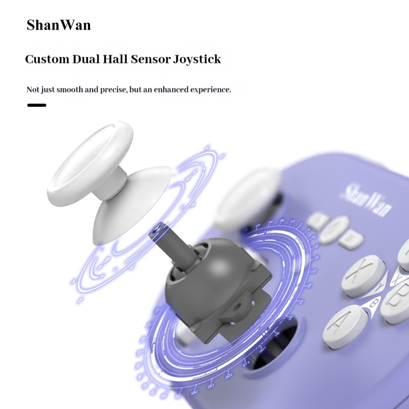 Upgraded Shanwan Q37pro Mini P - Mini Wireless Mouse review and price